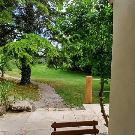 Nature Campagne Calme Piscine Pierrevert